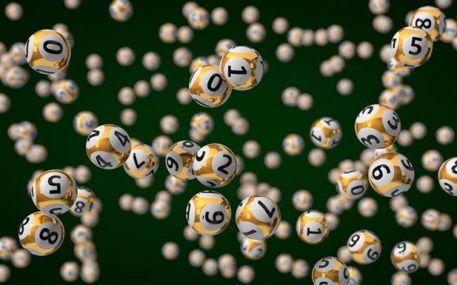 Cách nuôi dàn đề đánh hàng ngày thế nào cho hiệu quả 5 nuôi dàn đề đánh hàng ngày hiệu quả