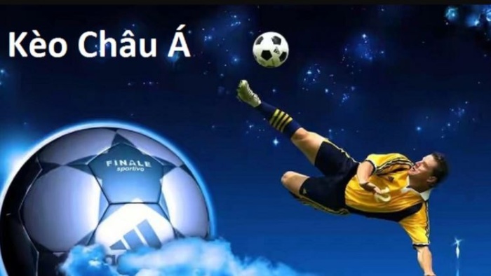 Tổng hợp 10 từ lóng trong thế giới cá độ 4 10 tu long trong the gioi ca do 1