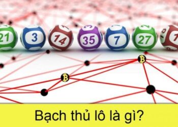 Bạch thủ lô là gì? Cách đánh bạch thủ lô như thế nào? 5 bach thu lo la gi 1