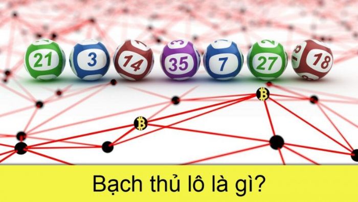 Bạch thủ lô là gì? Cách đánh bạch thủ lô như thế nào? 1 bach thu lo la gi 1