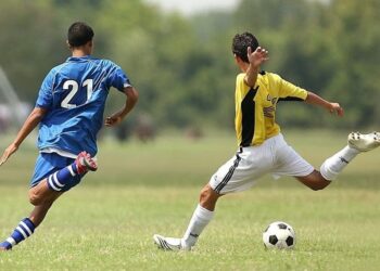 ca do bong co 1 900x559 1