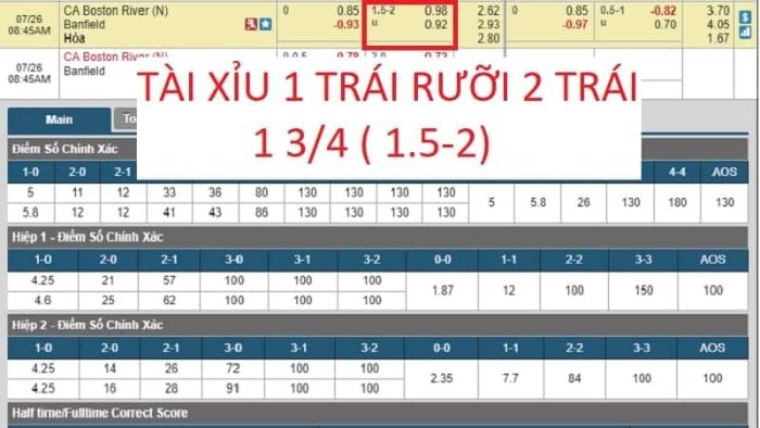 ca so tai xiu la gi 2