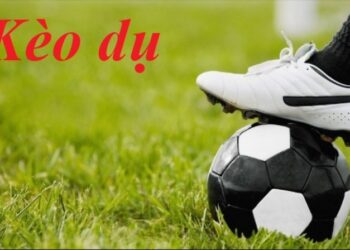 cac giai bong da nen va khong nen bat do 1