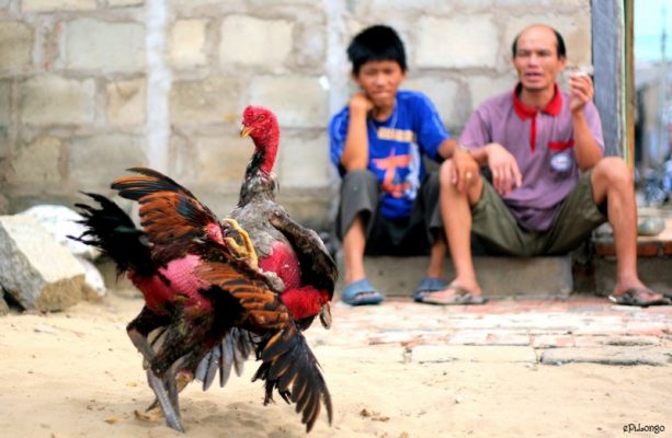 da ga khmer 3
