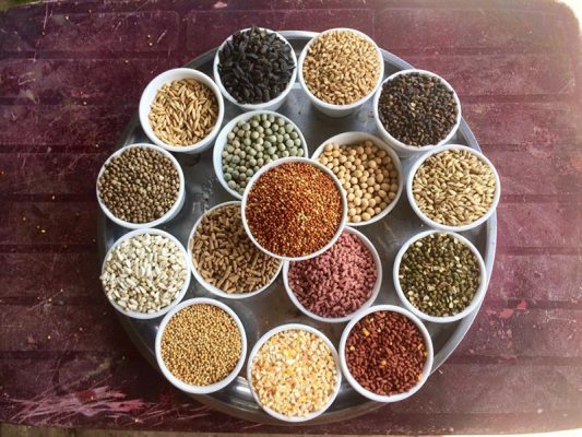 Công thức trộn ngũ cốc cho gà đá gồm những gì? 4 ngu coc cho ga da 1
