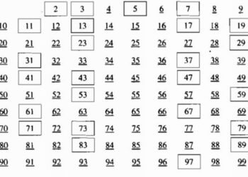 so nguyen to la gi 3 Copy