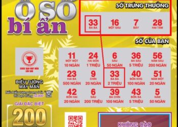 ve so cao co trung that khong 4