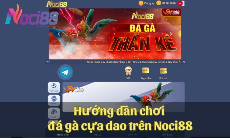 Tham khảo các hướng dẫn đá gà cựa dao trên Noci88