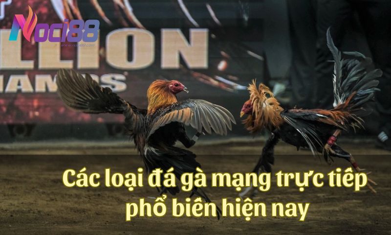 Khám phá kinh nghiệm chơi đá gà mạng trực tiếp bách trúng bách ăn 4 Tổng hợp các loại đá gà mạng trực tiếp phổ biến hiện nay