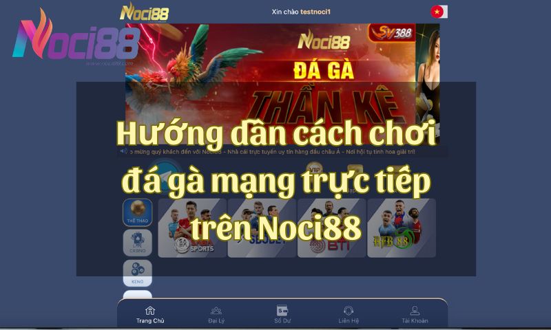 Khám phá kinh nghiệm chơi đá gà mạng trực tiếp bách trúng bách ăn 6 Hướng dẫn cách chơi đá gà mạng trực tiếp trên Noci88