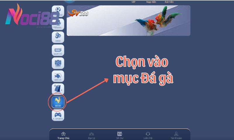 Chọn ngay vào mục “Đá gà” để tham gia đá gà cựa dao hôm nay cùng Noci88