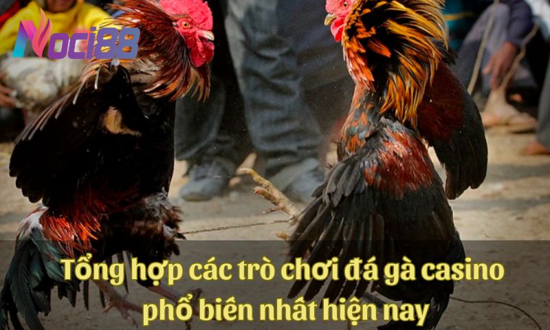 Tổng hợp các trò chơi đá gà casino phổ biến nhất hiện nay