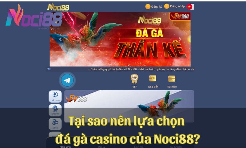 Tại sao nên lựa chọn đá gà casino của Noci88?