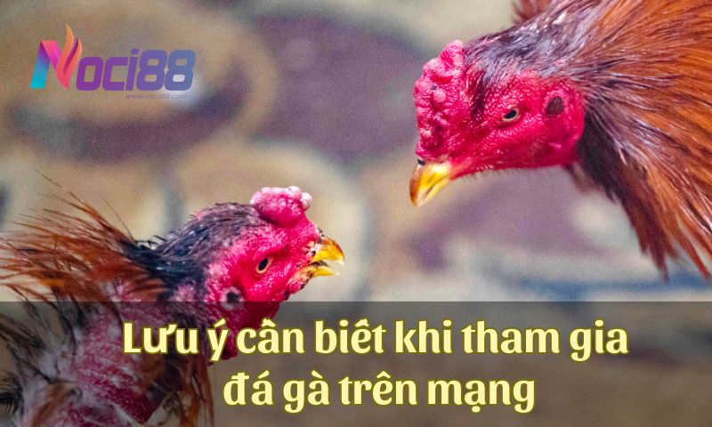Các lưu ý để tránh bị lừa đảo khi tham gia đá gà trên mạng
