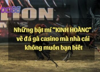 Những bật mí “KINH HOÀNG" về đá gà casino mà nhà cái không muốn bạn biết