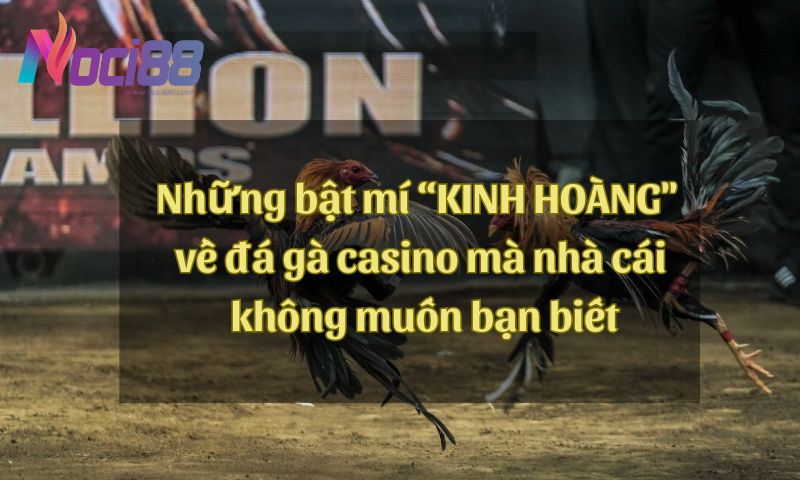 Những bật mí “KINH HOÀNG" về đá gà casino mà nhà cái không muốn bạn biết
