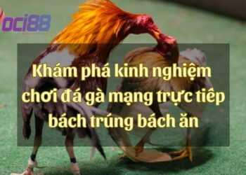 Khám phá kinh nghiệm chơi đá gà mạng trực tiếp bách trúng bách ăn